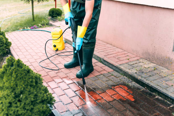 Best Animal Enclosure Cleaning  in Highland, CA